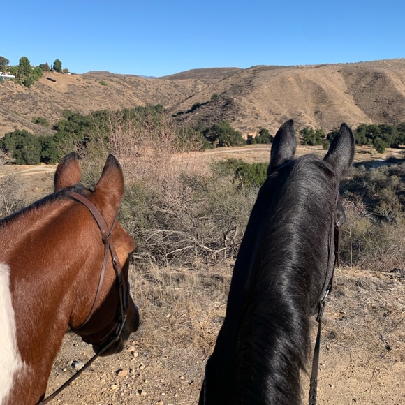 Meet your Posher, Kris - Picture 4 of 8